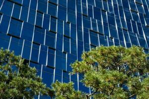 Trees in Front of an Office Building in Seoul, South Korea photo