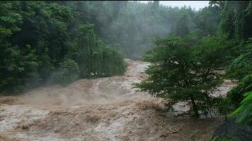 Waterfall cataract in forest mountains. Dirty streams are flowing down the mountain slopes of the mountain forest after heavy rains in Thailand. River flood, selective focus. video