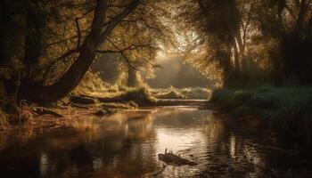 Tranquil scene of foggy forest at dawn generated by AI photo