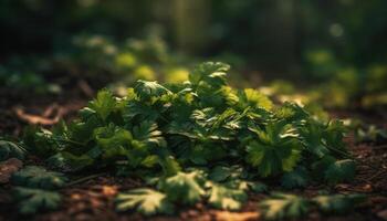 Fresh green leaves grow on forest trees generated by AI photo