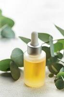 masaje y spa aceites con eucalipto foto