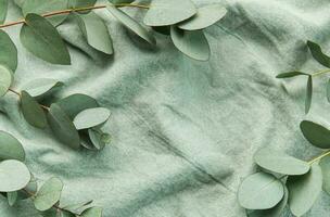 Eucalyptus branch  on textile fabric background. photo