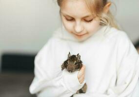 pequeño niña jugando con pequeño animal degú ardilla. foto