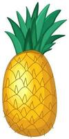 Illustration of pineapple fruit. vector