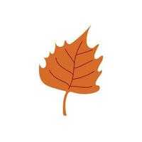 Autumn leaf. Autumn leaf isolated on a white background. Vector illustration. Flat style.