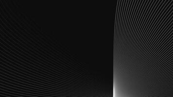 geometric line animation on white background, Shape line wave video