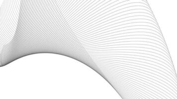 geometric line animation on white background, Shape line wave video