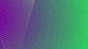 geometric line animation on white background, Shape line wave video