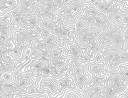 Elevation Maps Vector Illustration Design
