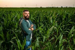 retrato de granjero quien es cultivando maíz. él es satisfecho con bueno Progreso de plantas. agrícola ocupación. foto