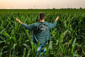 Farmer is cultivating corn. He is satisfied with good progress of plants. Agricultural occupation. photo