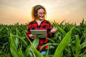 Portrait of female farmer who is cultivating corn. She is satisfied with good progress of plants. Agricultural occupation. photo