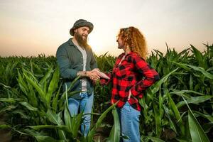 Family agricultural occupation. Man and woman are cultivating corn. They are satisfied with good progress of plants. photo