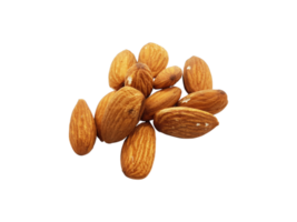 Almendras nueces png