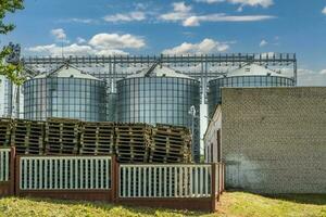 agro silos on agro-industrial complex and grain drying and seeds cleaning line. photo