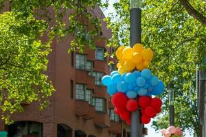 colorful balloons on a streetlight photo