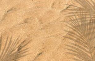 Sand Beach Texture Background with Coconut Palm leaves Shadow and sunlight,Nature Sea Beach Sandy with tropical leaf overlay,Top view Desert sand done,Banner for Summer vacation holiday concept photo