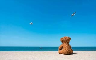 Rear view Lonely Teddy bear doll sitting alone by the beach with blue sea and sky background.Rae view  Brown bear toy sitting alone watching at ocean with blurry birds flying on sky.Loneliness concept photo