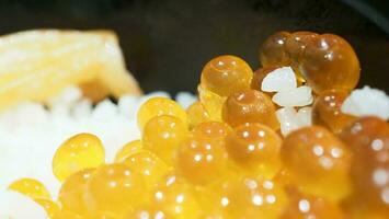 Close up of sashimi salmon roe with rice bowl or donburi in Japanese style food. photo