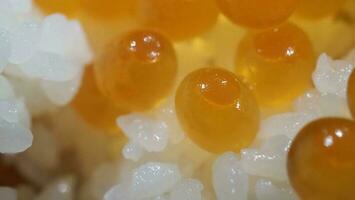 Close up of sashimi salmon roe with rice bowl or donburi in Japanese style food. photo