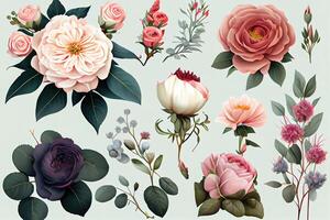 Beautiful romantic flower collection with roses, leaves. photo