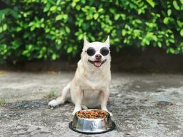 marrón chihuahua perro vistiendo Gafas de sol sentado en cemento piso con perro comida cuenco en el jardín. foto