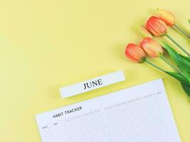 flat lay of habit tracker book with wooden calendar June,   and tulips  on yellow background. photo