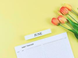 flat lay of habit tracker book with wooden calendar June,   and tulips  on yellow background. photo