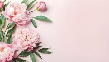 Top view of pink peony flowers and buds on the pink background. Copy space. . photo