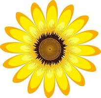 Beautiful abstract yellow sunflower. vector