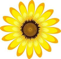 Beautiful abstract yellow sunflower. vector