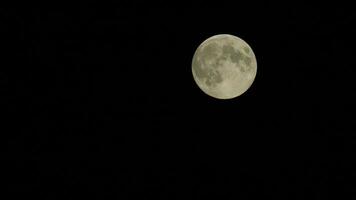 plein lune derrière vite qui passe par des nuages avec négatif espace video