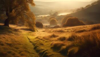 Tranquil sunrise over foggy autumn meadow generated by AI photo