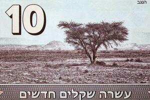 negev Desierto desde israelí dinero foto