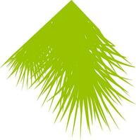 Illustration of a green fir tree branch. vector