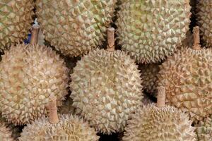 Stack of durians on a market stall photo
