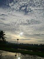 Beautiful view of the sky on the  rice paddy field during sunrise in Lombok Island, Indonesia. Nature composition photo