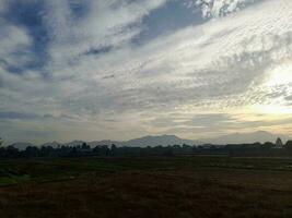 hermosa ver de el cielo en el arroz arrozal campo durante amanecer en lombok isla, Indonesia. naturaleza composición foto