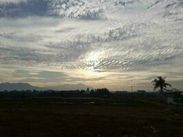 Beautiful view of the sky on the  rice paddy field during sunrise in Lombok Island, Indonesia. Nature composition photo