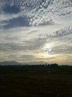 Beautiful view of the sky on the  rice paddy field during sunrise in Lombok Island, Indonesia. Nature composition photo