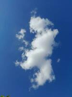 White clouds in the blue sky. Beautiful bright blue background. Light cloudy, good weather. Curly clouds on a sunny day. photo