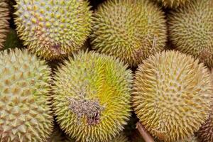 Stack of durians on a market stall photo