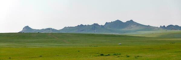 Panoramic view of the steppes of Mongolia photo