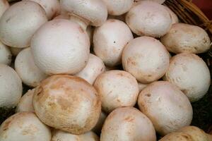 Stack of button mushrooms on a market stall photo