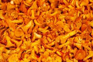 Stack of golden chanterelle on a market stall photo