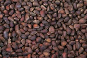Stack of Siberian pine nuts on a market stall photo