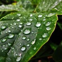 ai generated  Water drop on the leaf surface, wood, abstract nature background photo