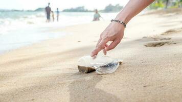 mano cosecha arriba el plastico botella limpieza en el playa. salvar el mundo concepto. ambiente, ecología cuidado, renovable concepto, naturaleza conservación turismo foto
