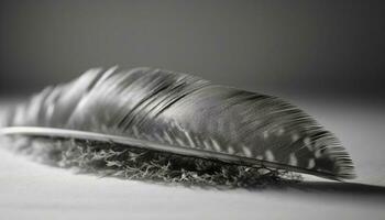 Fluffy feather pillow, black and white pattern generated by AI photo