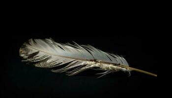 Feather elegance in extreme close up levitation generated by AI photo